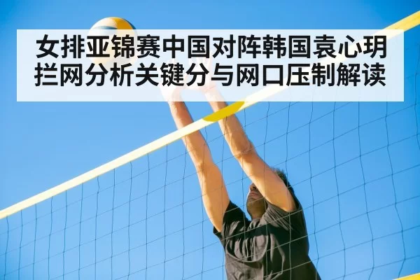 volleyball net defense